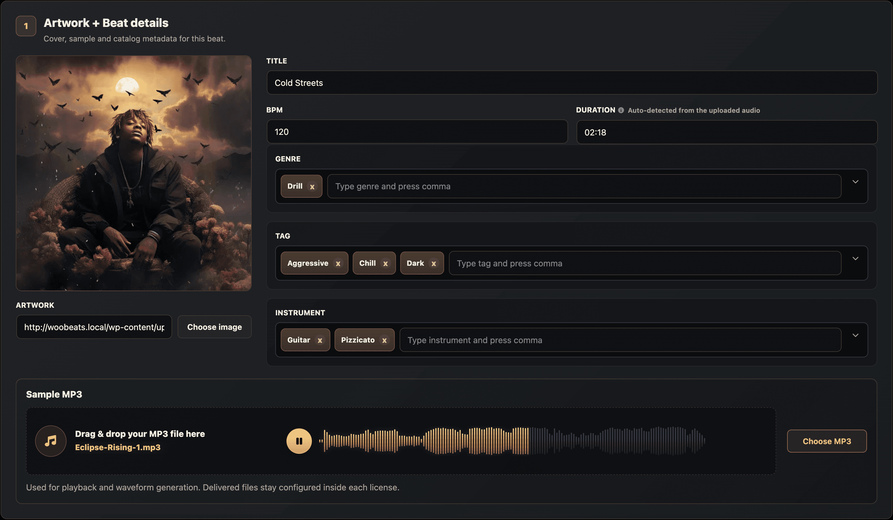 Banaslap Studio upload workflow with artwork, metadata, tags, instruments and sample MP3 waveform